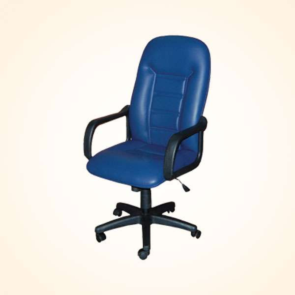 Director Chair (CDS-103L)