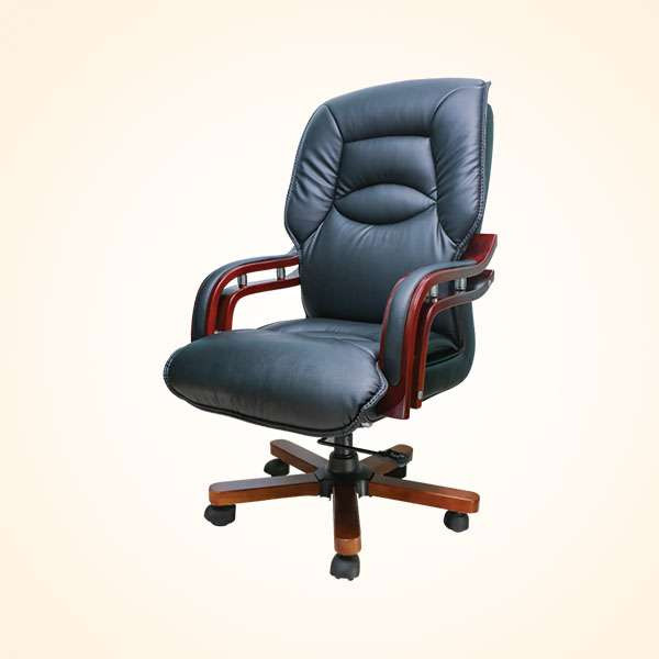 Director Chair (CDS-105M)