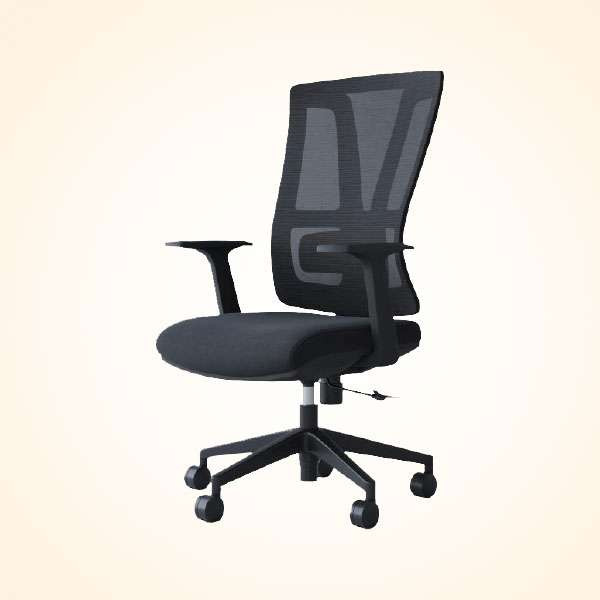 Director Chair (CDS-152L)