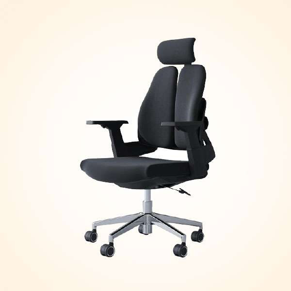 Director Chair (CDS-101L)