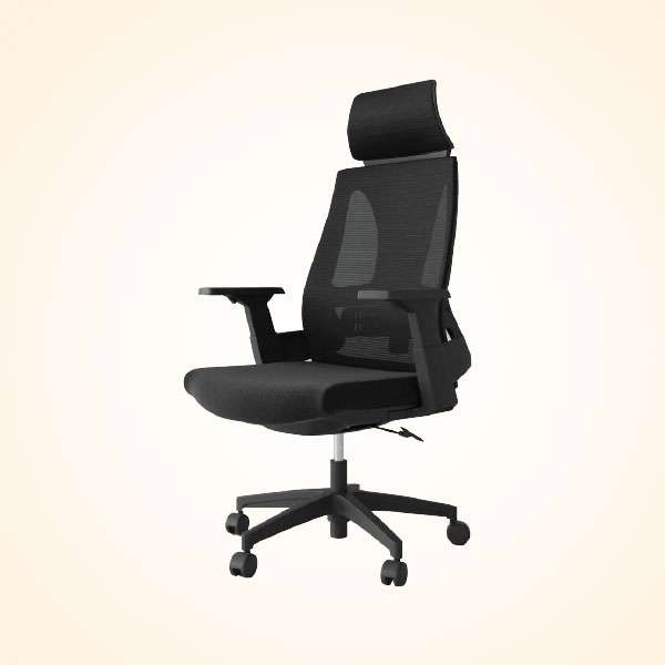 Director Chair (CDS-112M)