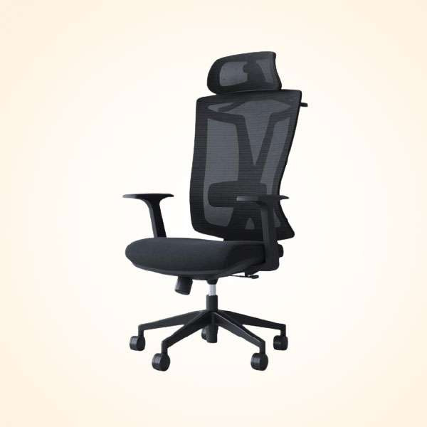 Director Chair (CDS-102M)