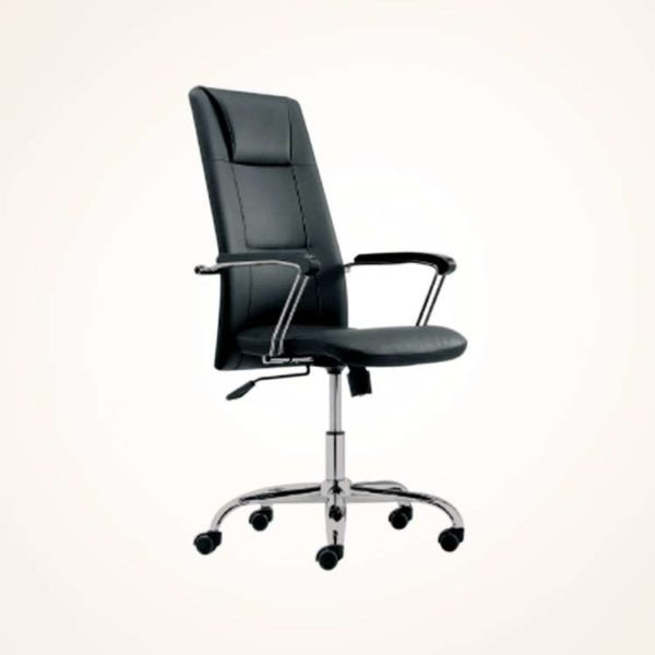 Director Chair (CDS-105L)