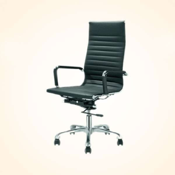 Director Chair (CDS-105M)