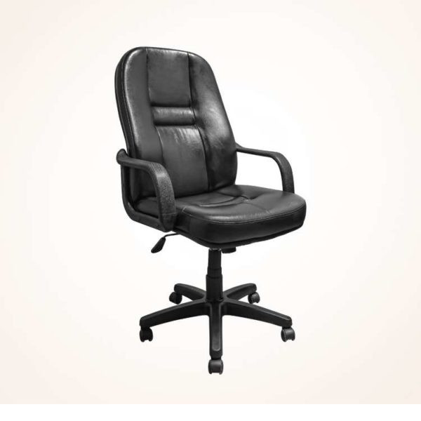 Director Chair (CDS-105M)