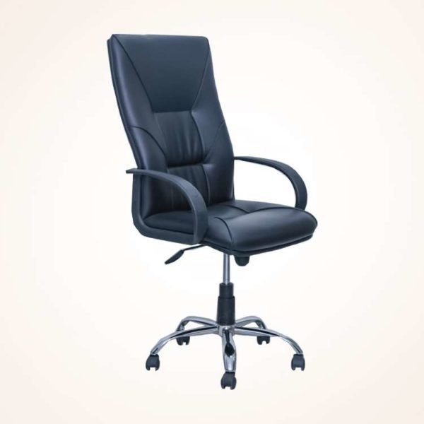 Director Chair (CDS-105M)