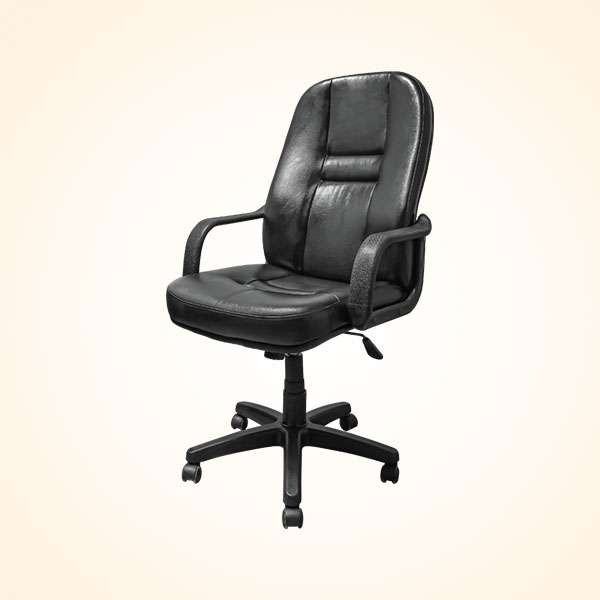 Director Chair (CDS-105L)