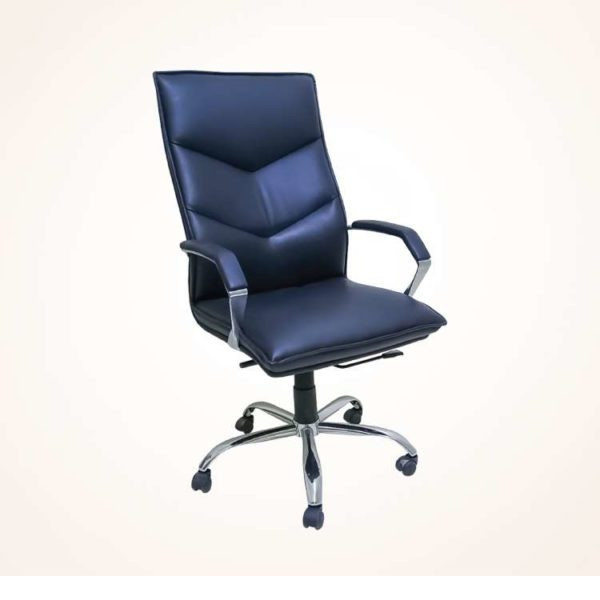 Director Chair (CDS-105M)