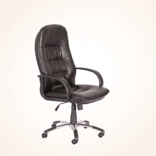 Director Chair (CDS-104L)