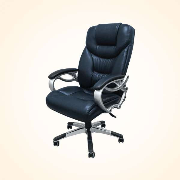 Director Chair (CDS-105M)