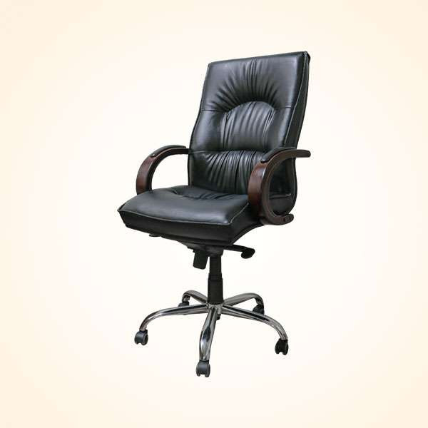 Director Chair (CDS-105M)