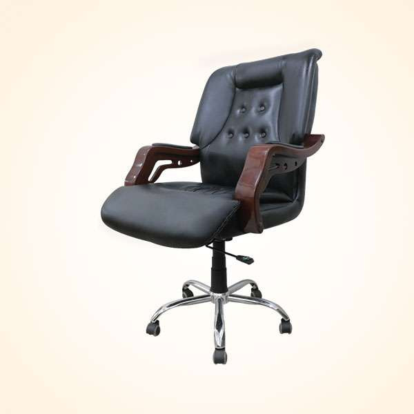 Director Chair (CDS-101L)